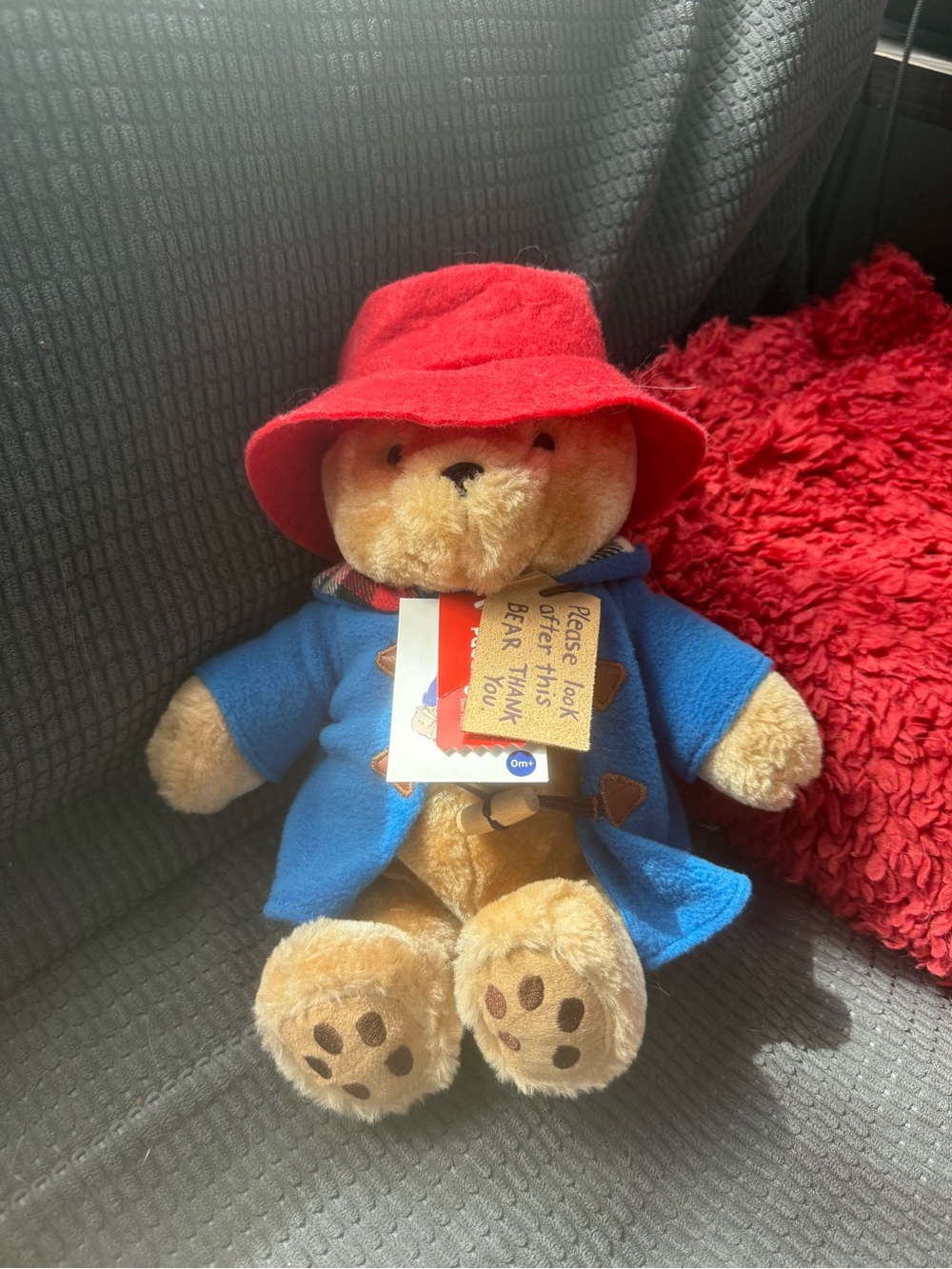 Rainbow Designs Paddington Bear Plush 12in NWT Red Hat Duffle Coat